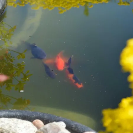 Ferienunterkuenfte Buggenthin ツィノヴィッツ